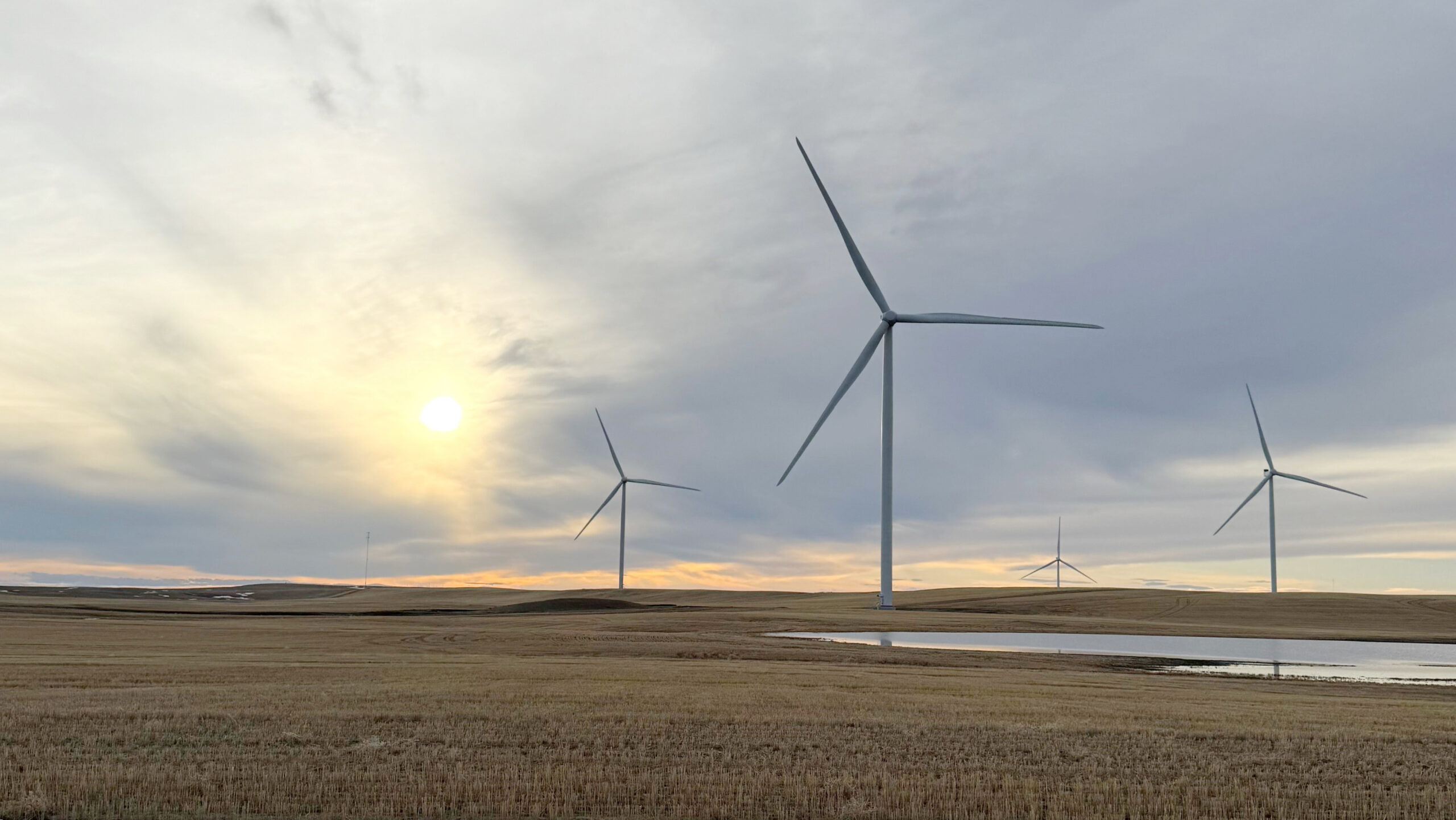 forty-mile wind power ACCIONA Energia